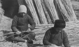 礼县网红吃瓜事件始末,一场网络舆论的风暴与反思